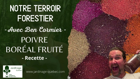 Poivre boréal fruité - La recette