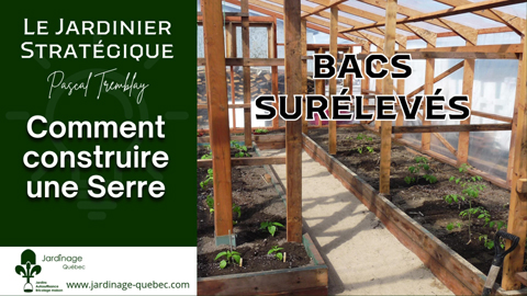 Bacs de culture en bois dans une serre