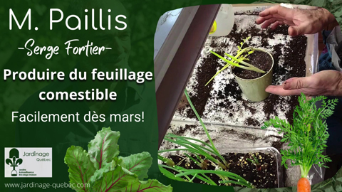 Produire du feuillage comestible