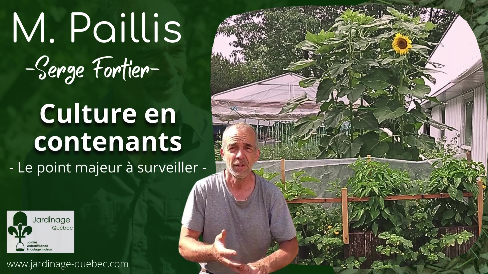 Culture en contenants