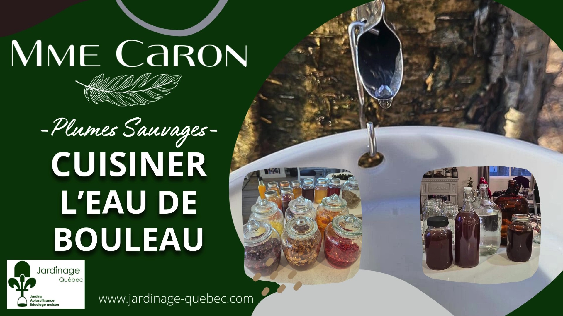 Eau de bouleau - Récolte propriétés et idées de recettes