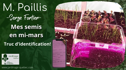Idée pour identifier les semis