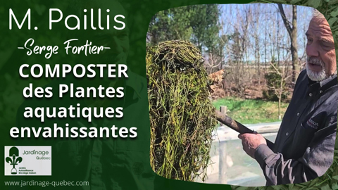 Transformer des plantes envahissantes aquatiques en compost