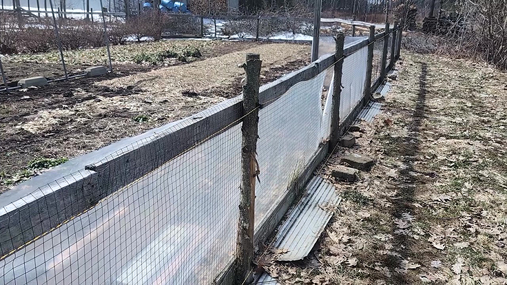 Éloigner les ravageurs à poils et sauver vos récoltes au jardin potager