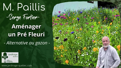 Aménager un pré fleuri - Alternative au gazon