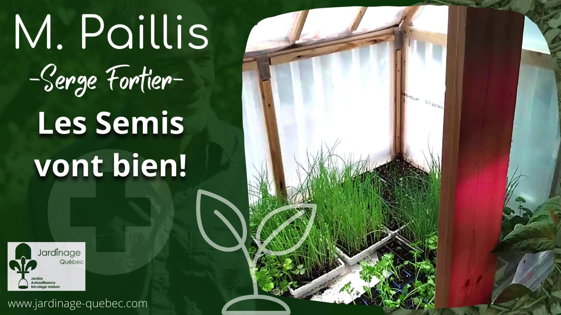 Évolution des semis