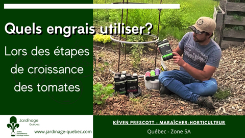 Engrais à tomates