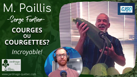 Courges et courgettes - La même choses?