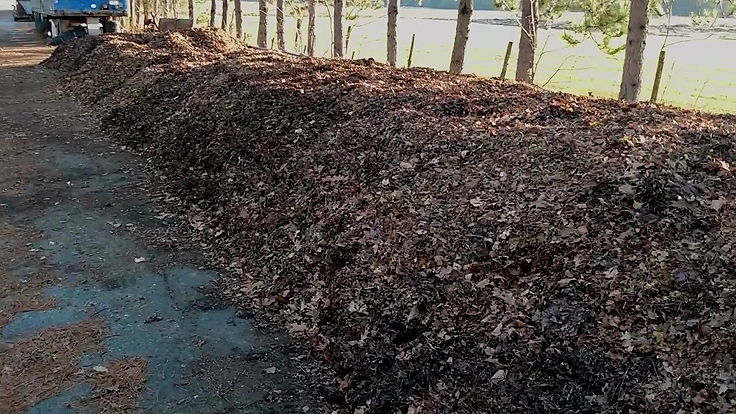 Réserve de feuilles mortes