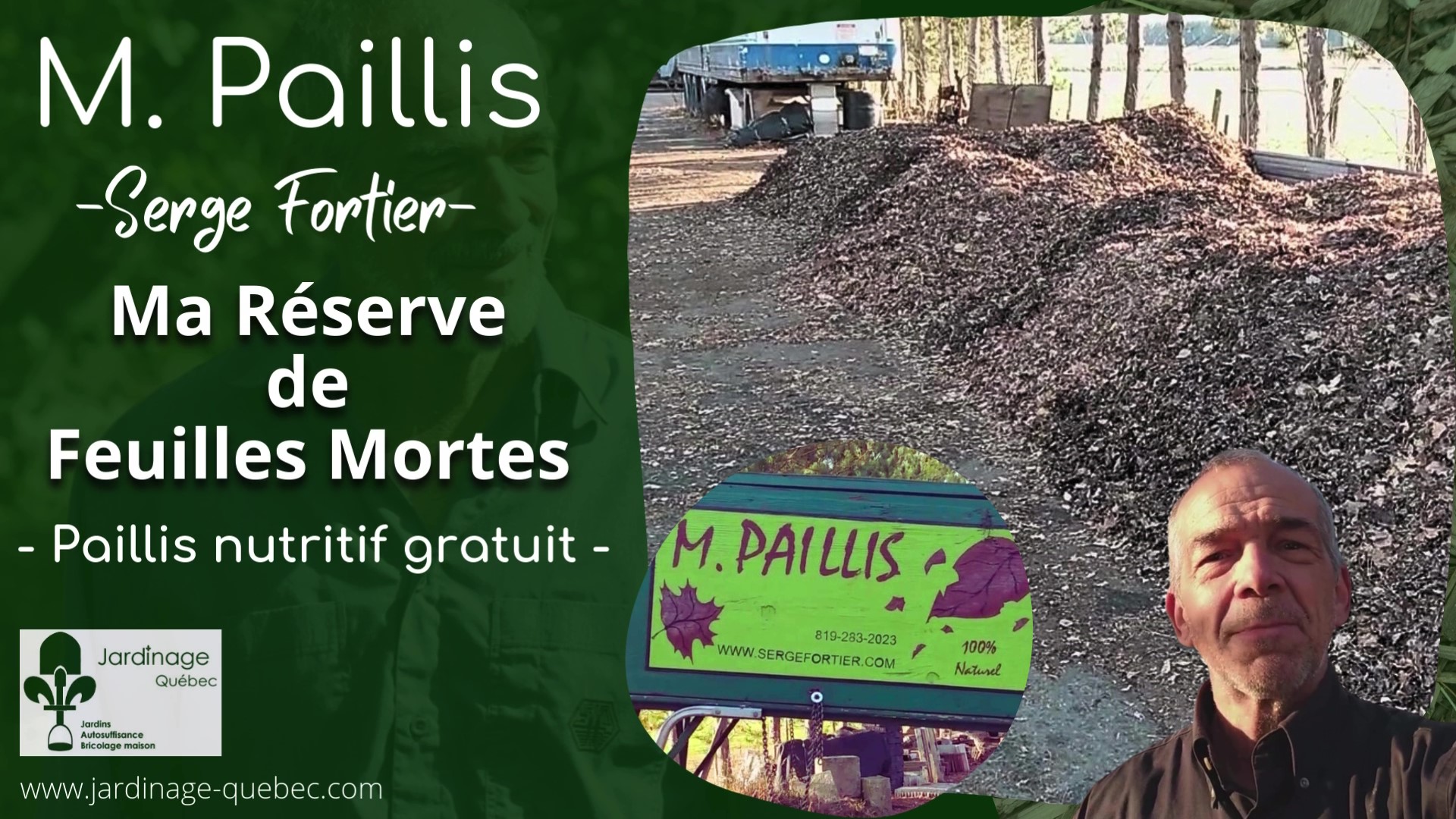 Paillis de feuilles mortes