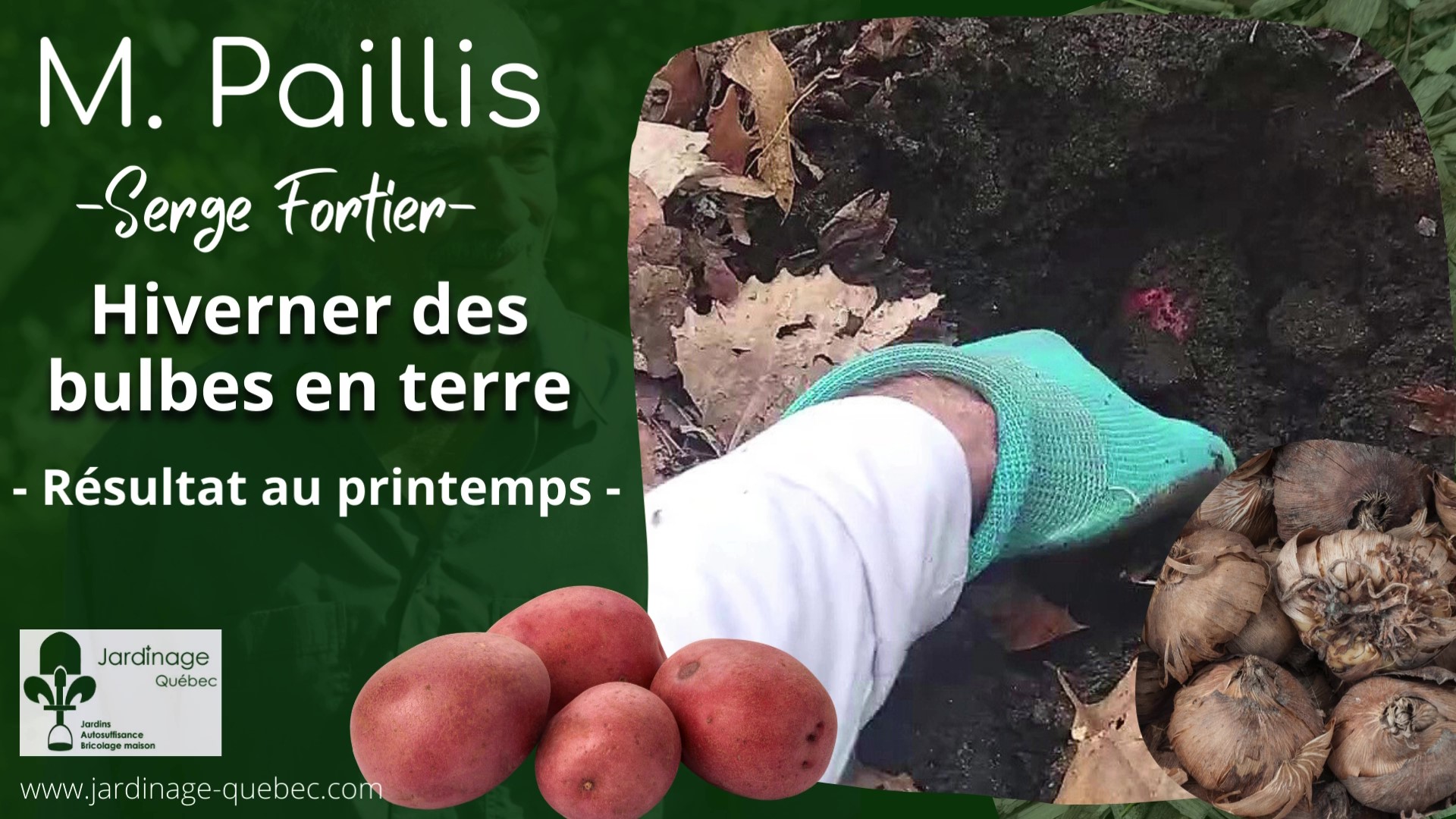 Planter les patates en automne