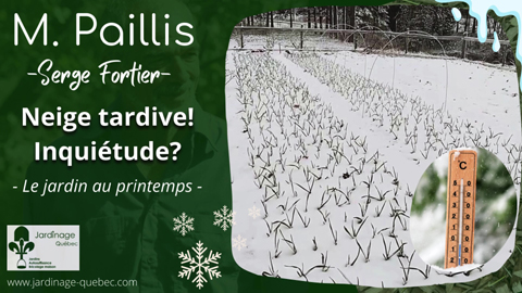 Neige tardive - Faut-il s'en inquiéter?
