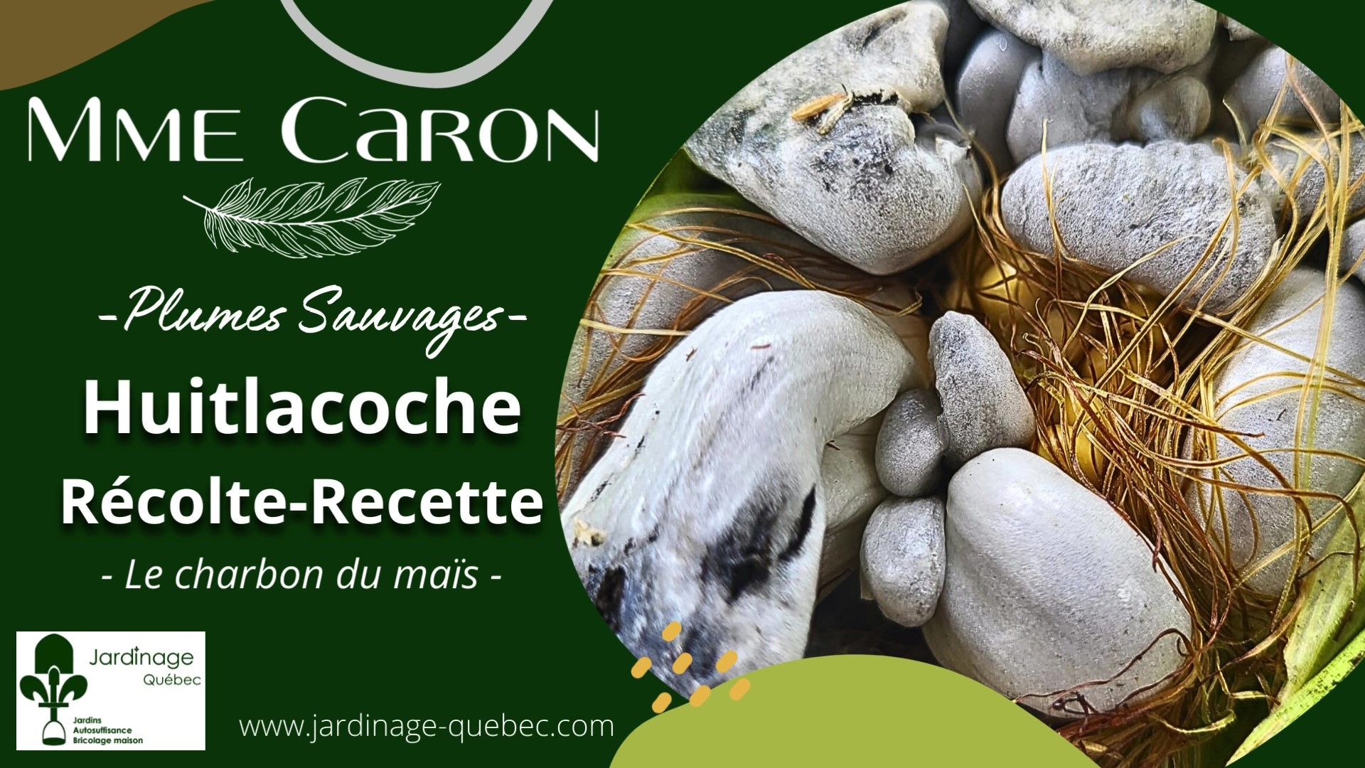 Huitlacoche - Le charbon du maïs