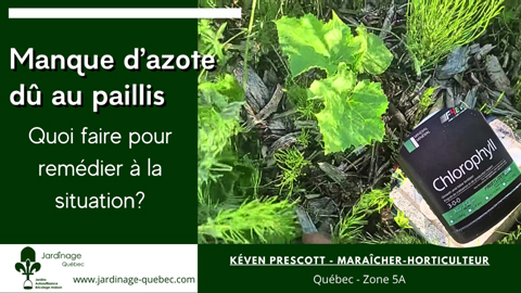 Compenser un manque d'Azote dû au Paillis