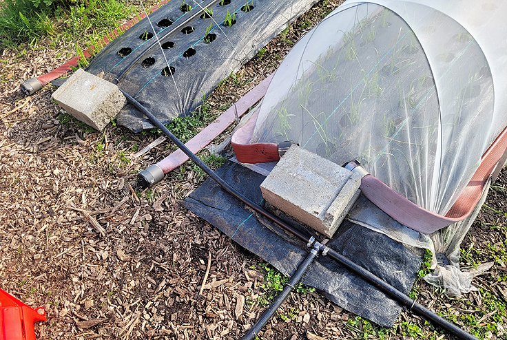 Système automatique d'arrosage goutte à goutte