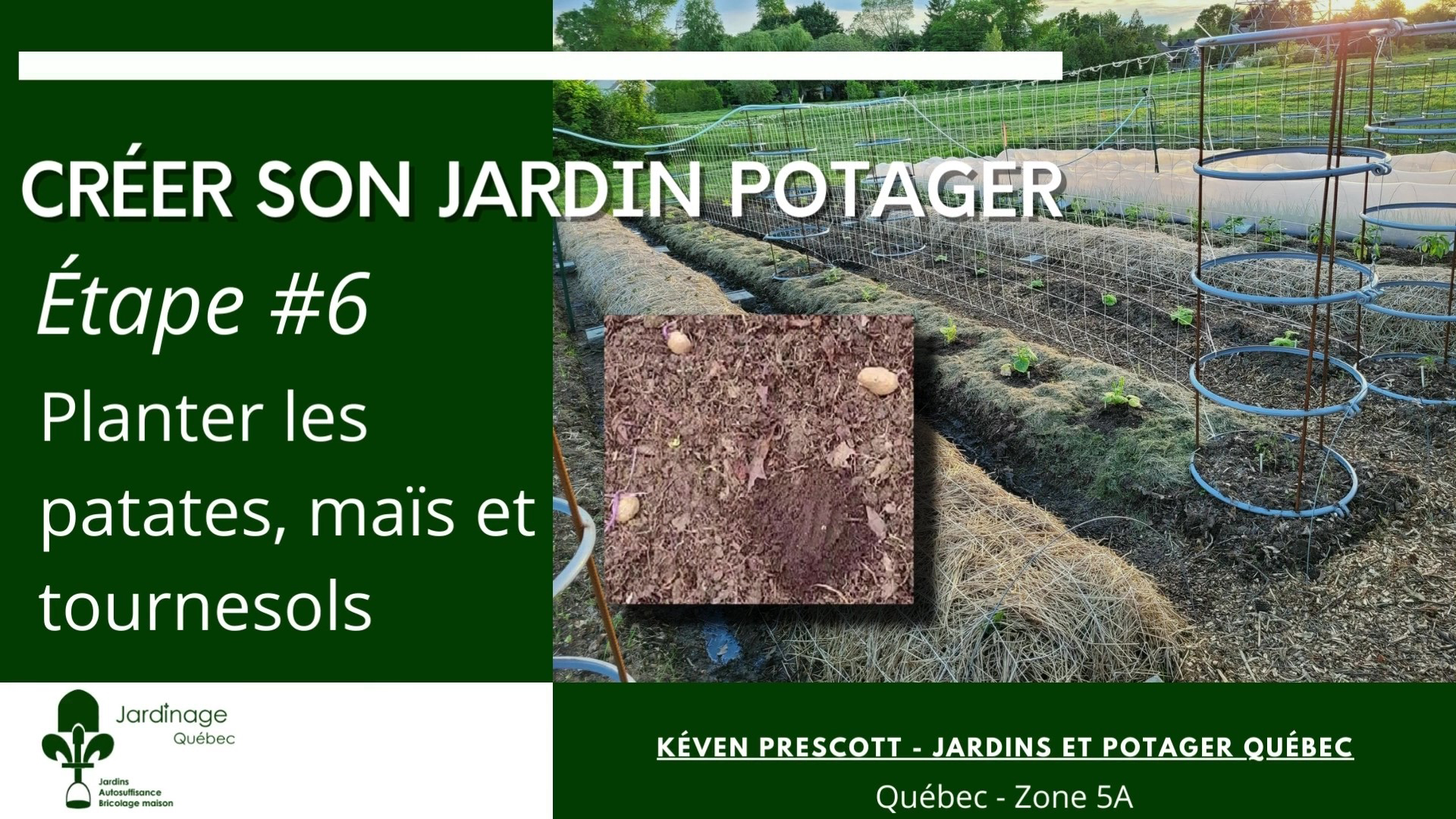 Planter des patates