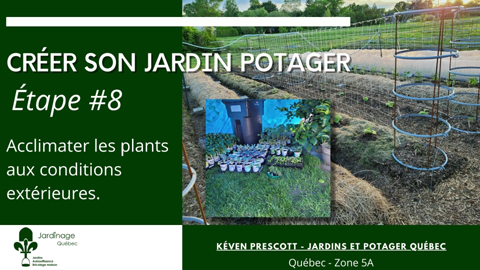 Acclimater les plants avant la plantation au jardin potager