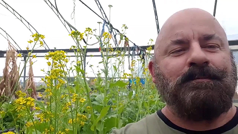 Récolter des semences de légumes