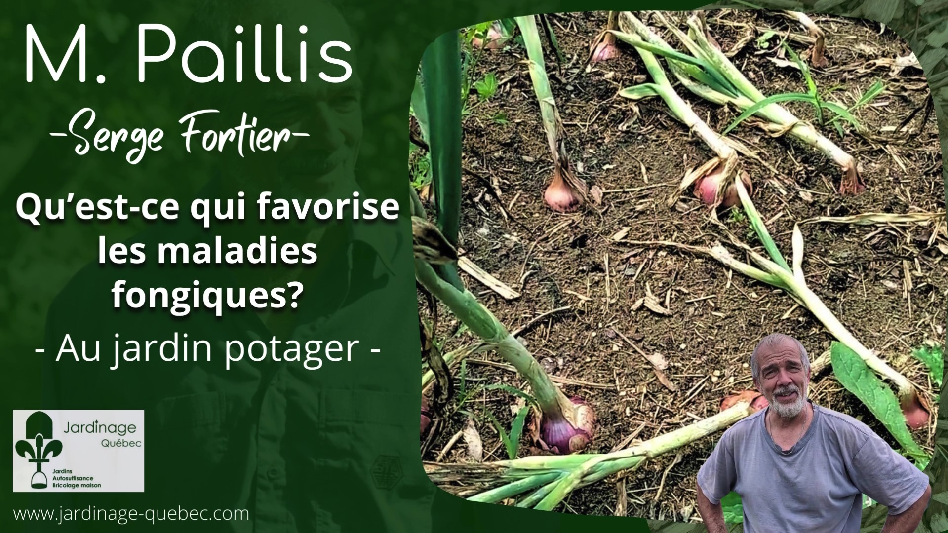 Maladies fongiques au jardin potager