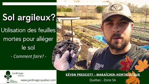 Alléger un sol argileux avec des feuilles mortes