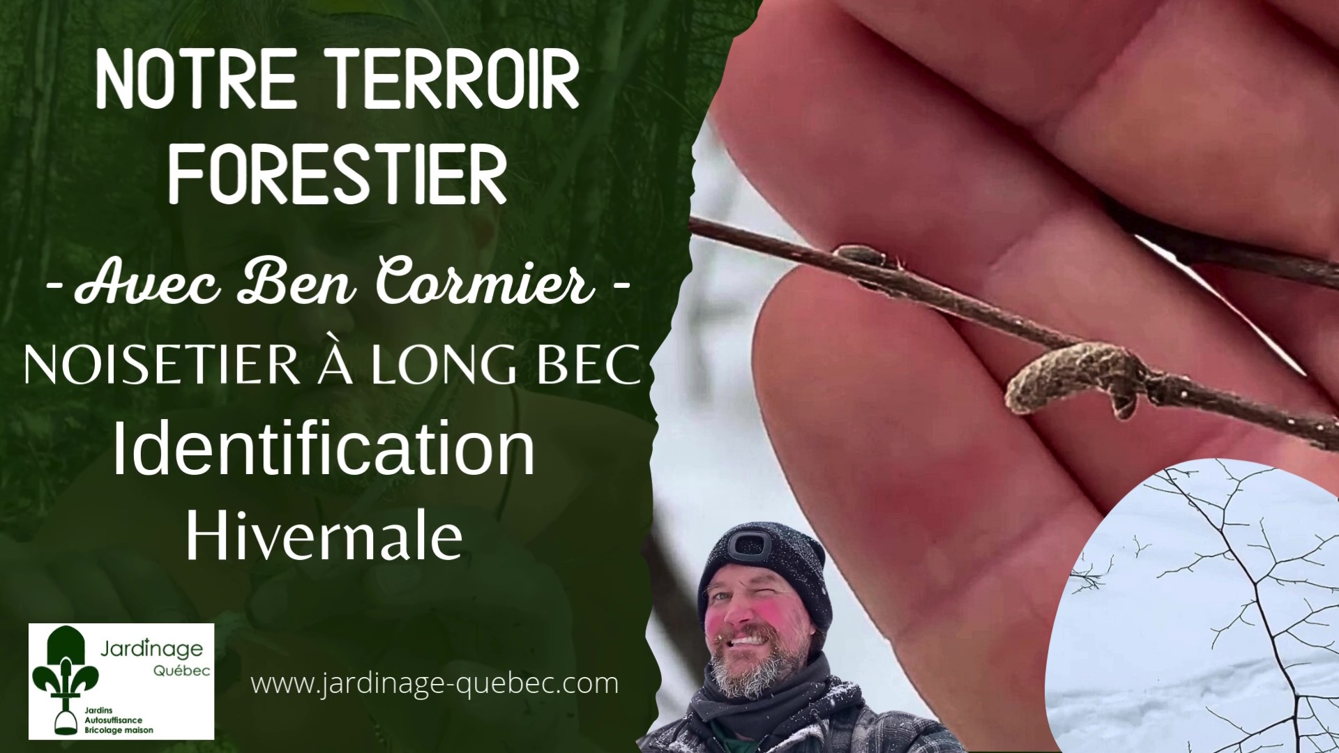 Noisetier à long bec