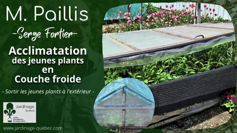Acclimatation des plants en couche froide