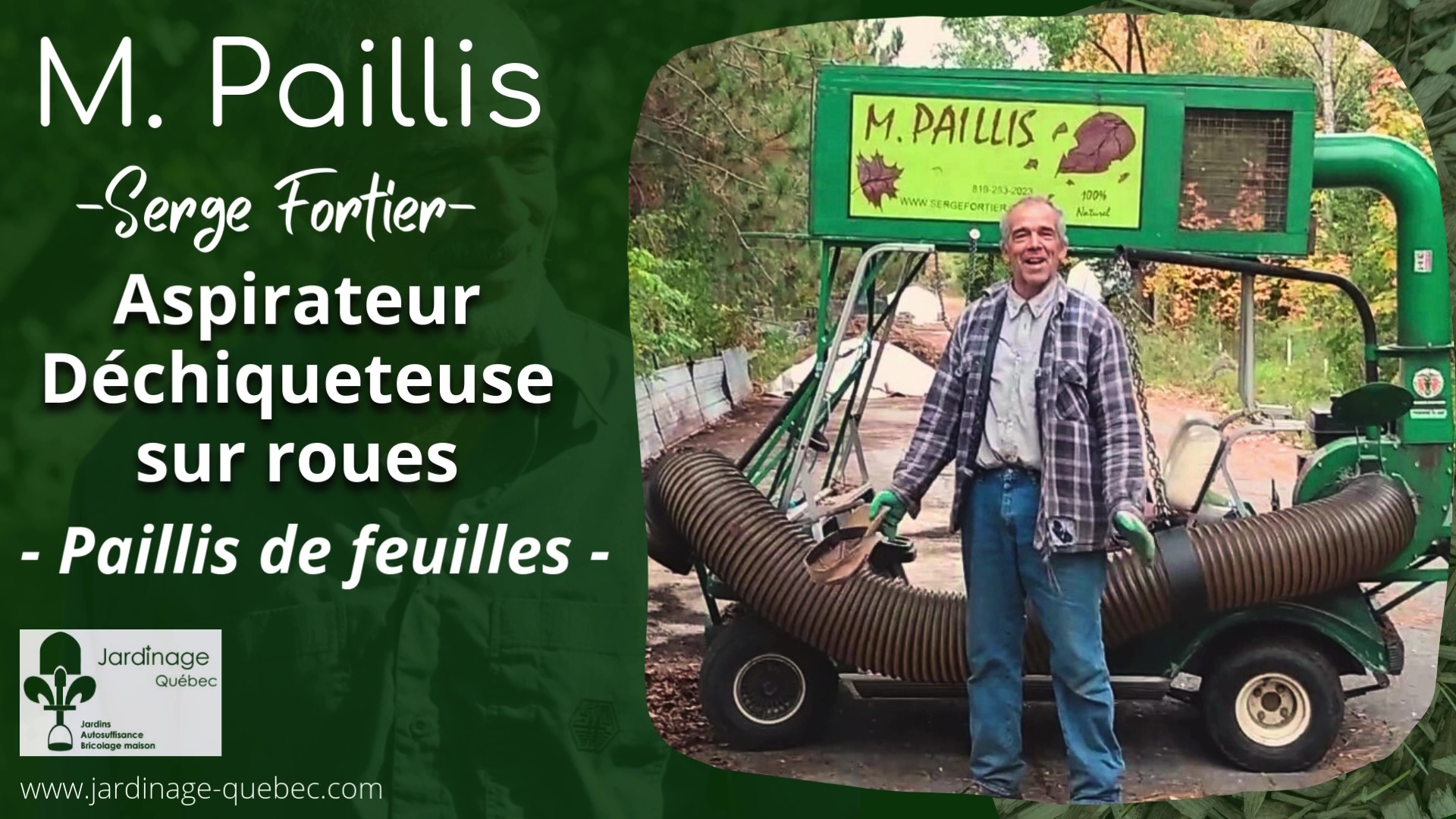 Paillis de feuilles