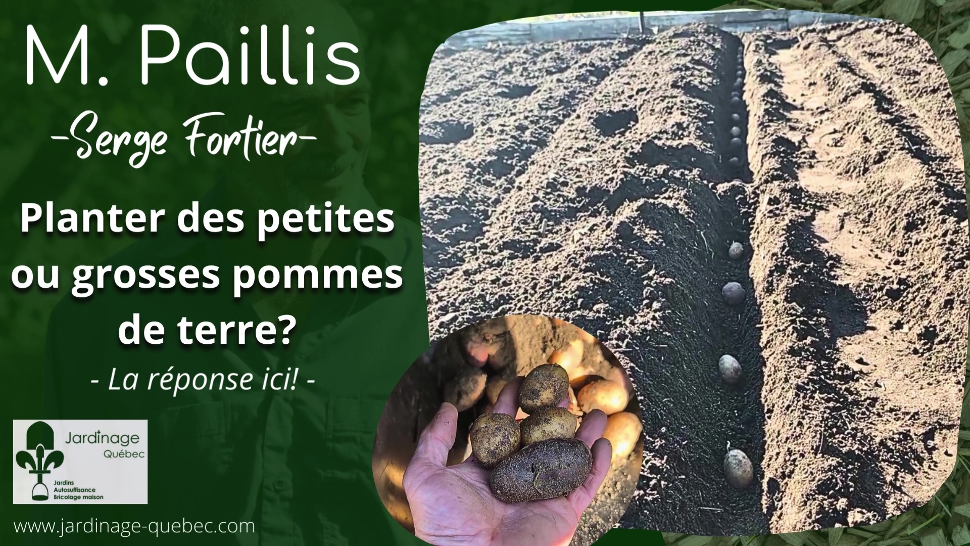 Pommes de terre