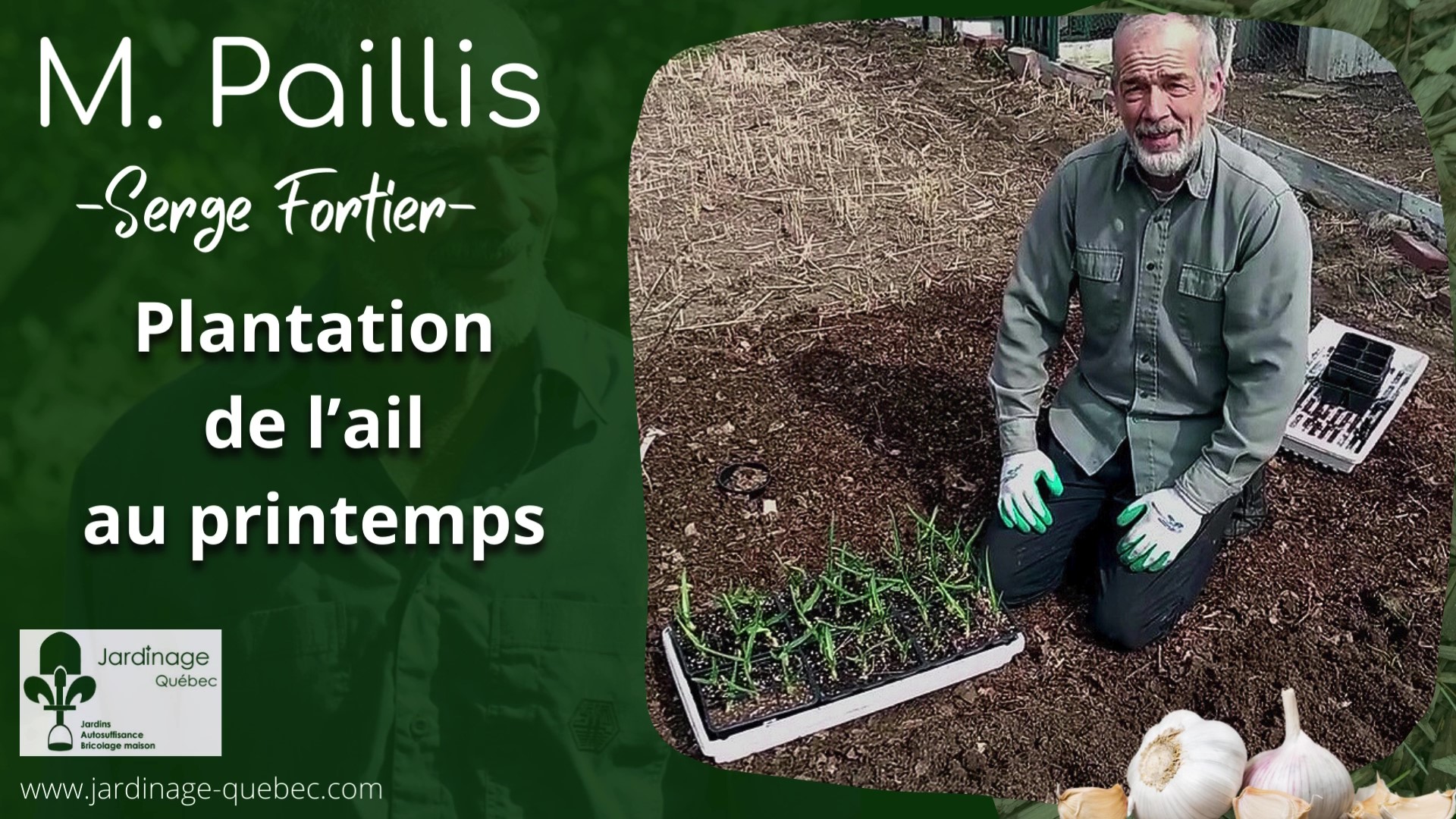 Planter l'ail au printemps