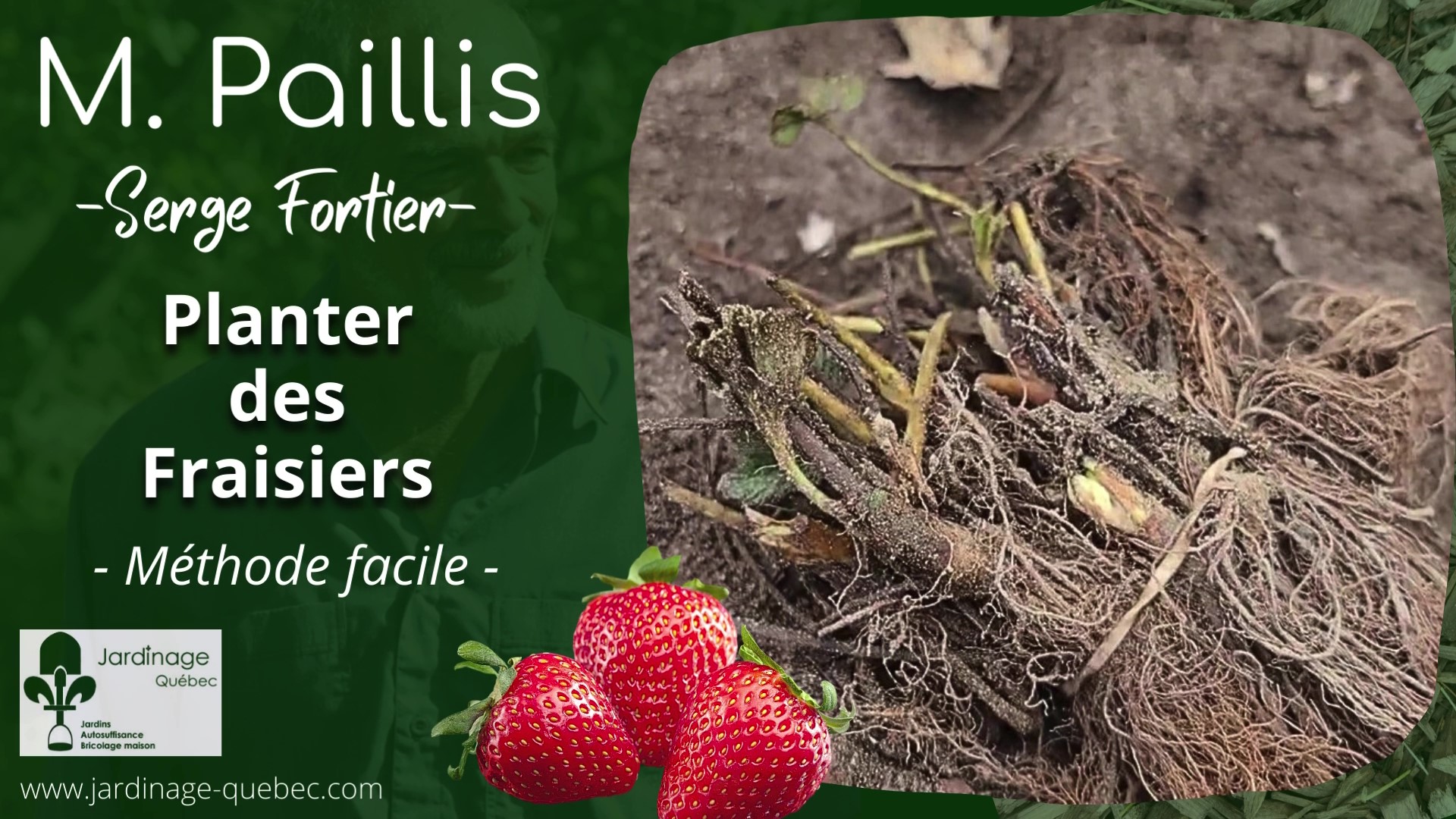 Planter des fraisiers