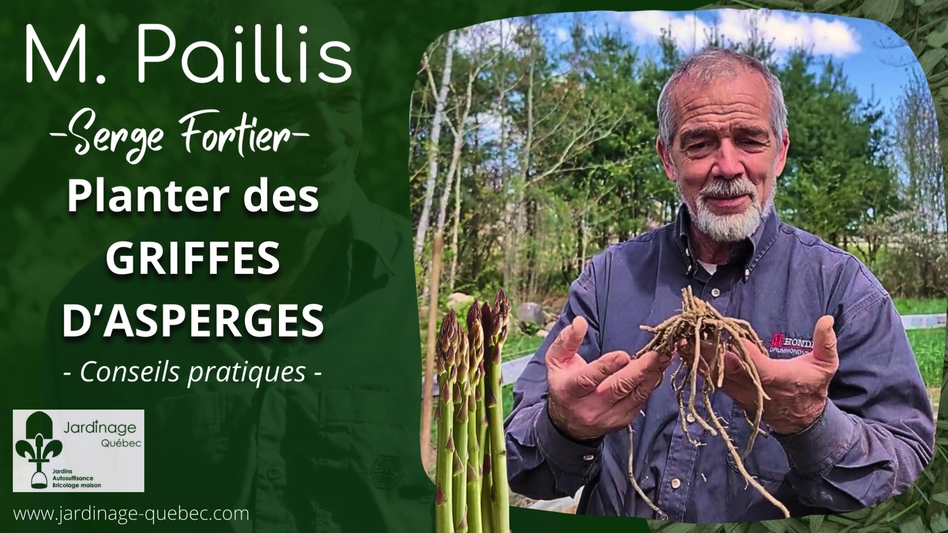 Planter des griffes d'asperges