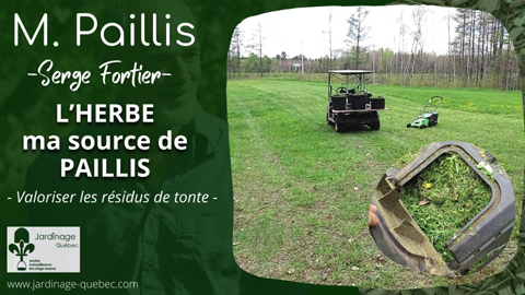 Paillis d'herbe - Valorisation des résidus de tonte