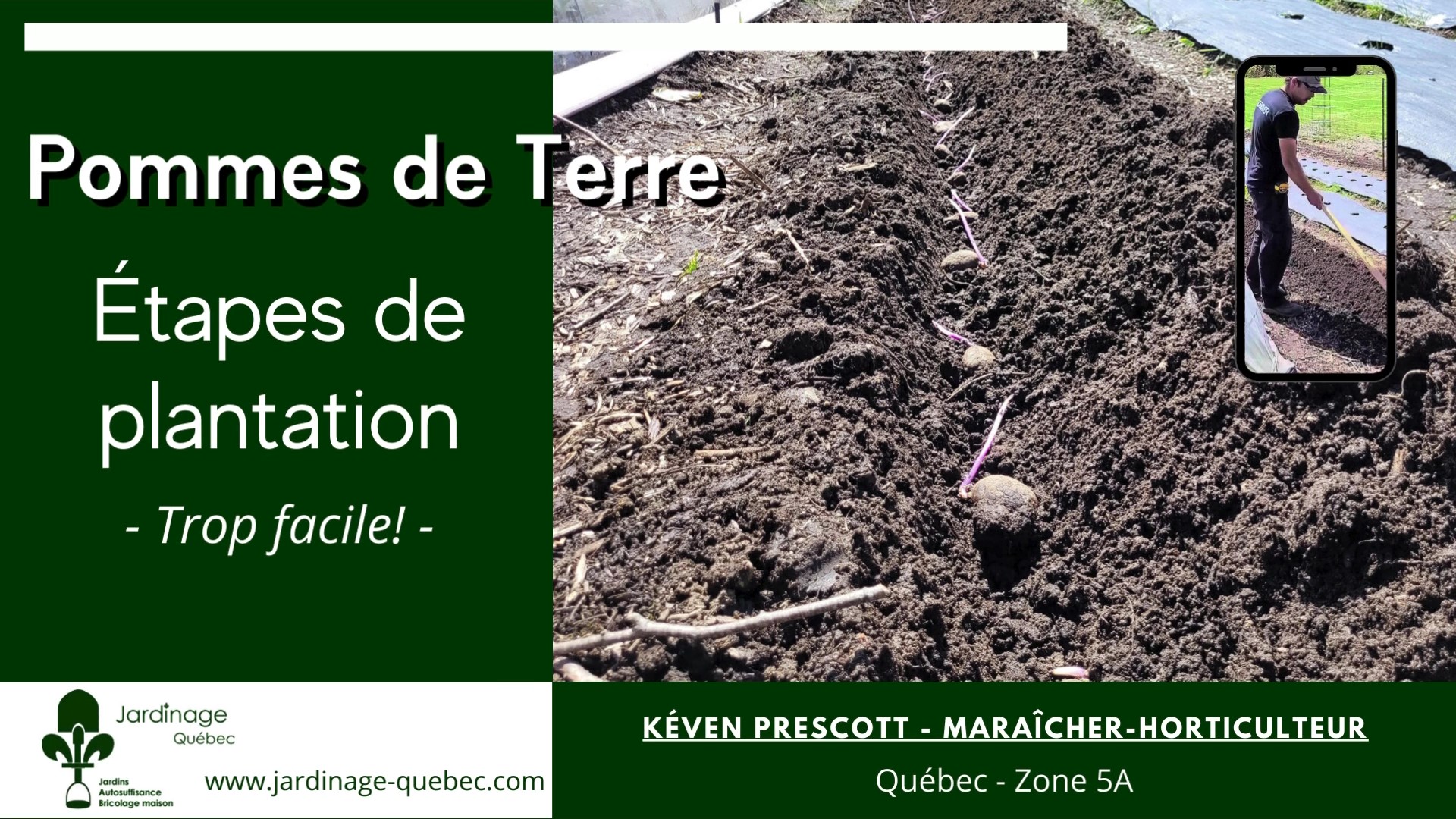 Planter des pommes de terre