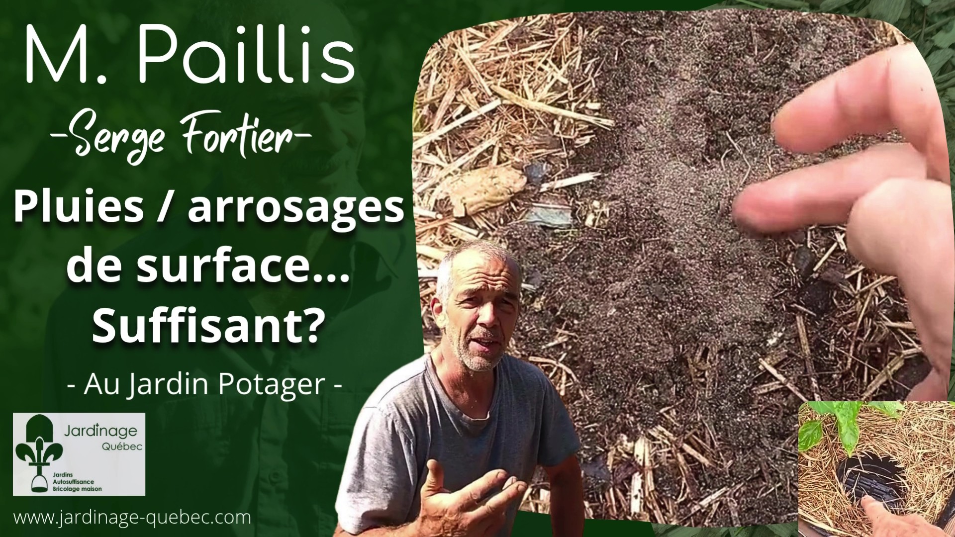 Pluies ou arrosages de surface - Suffisant pour les plantes?