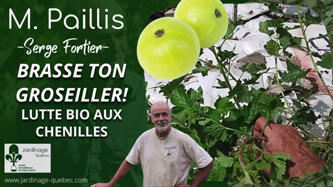 Filet anti-insectes et plastique de serre : protégez efficacement votre potager