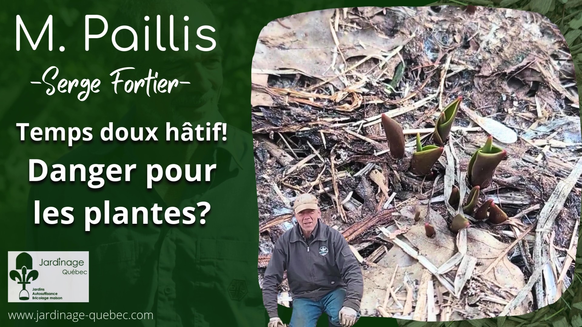 Printemps hâtif, un danger pour les plantes?