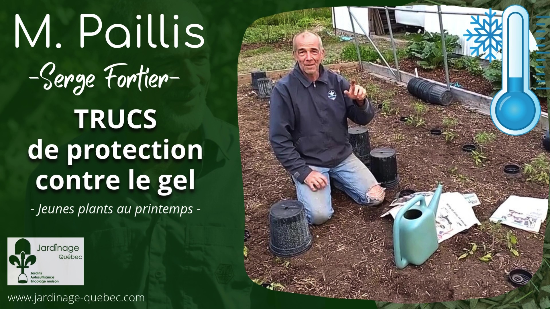 Protéger les plantes du gel