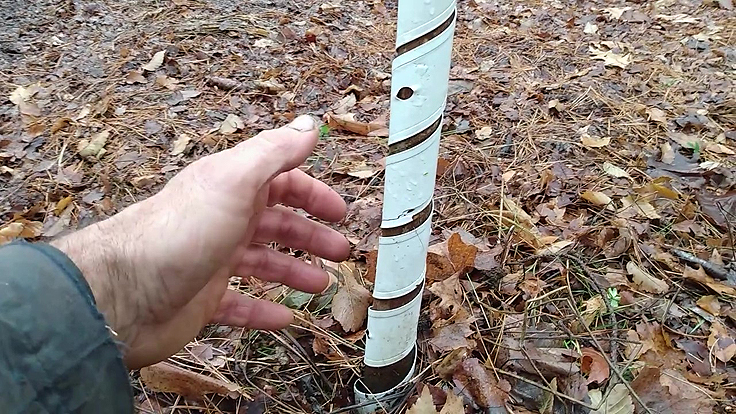 Protecteur pour tronc d'arbre