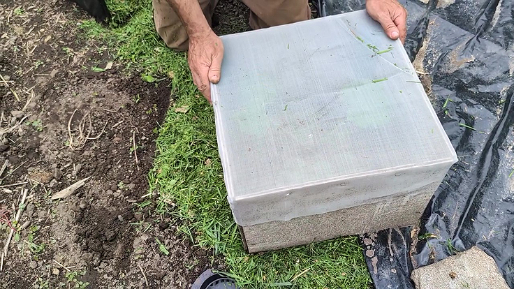 Boîte Anti-Insectes pour cucurbitacées