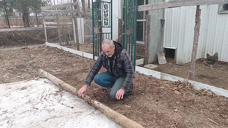 Retirer la toile de protection de l'ail au printemps