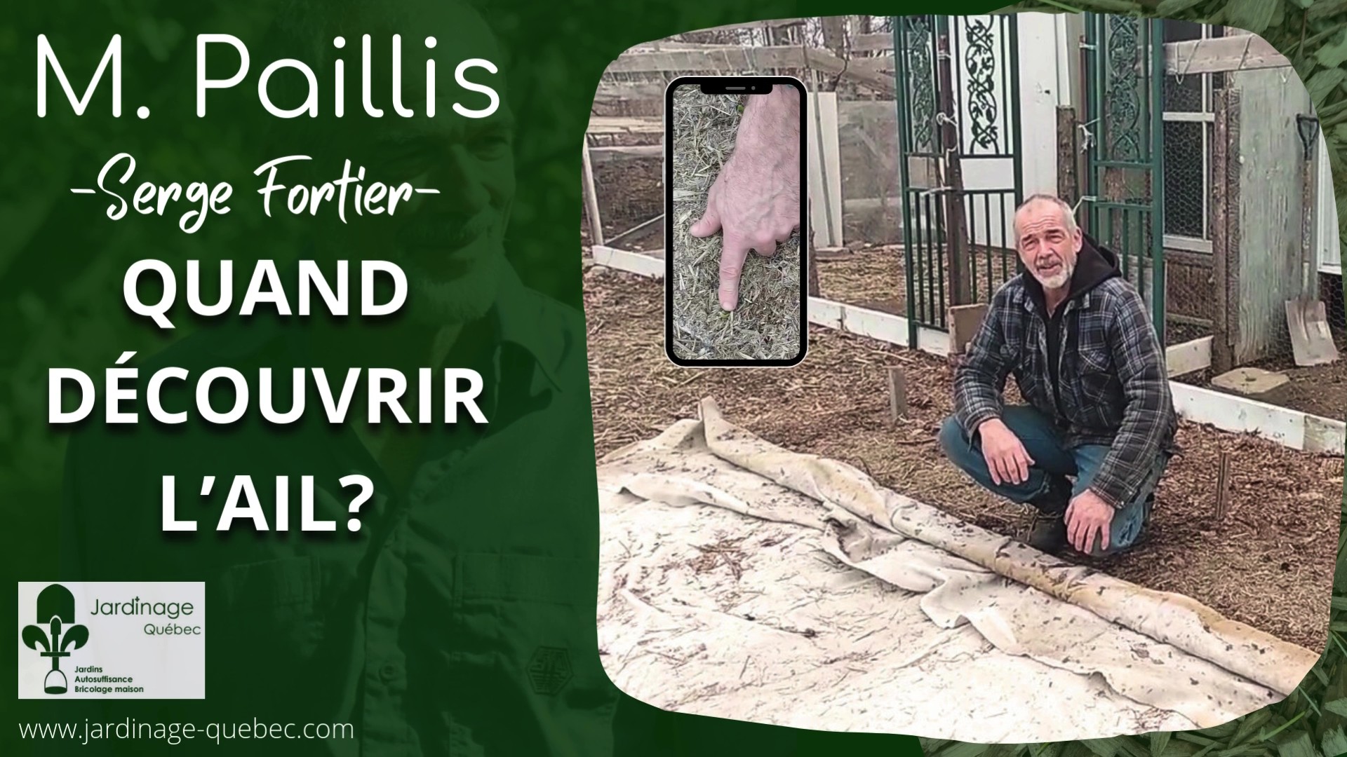 Quand découvrir l'ail au printemps