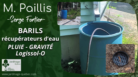 Récupérez l'eau de pluie facilement pour arroser votre potager sans effort