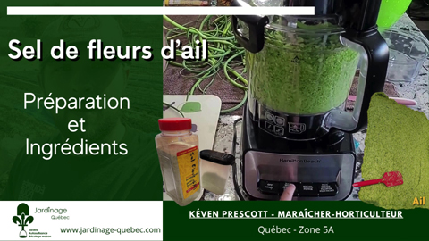 Faire du sel de fleurs d'ail