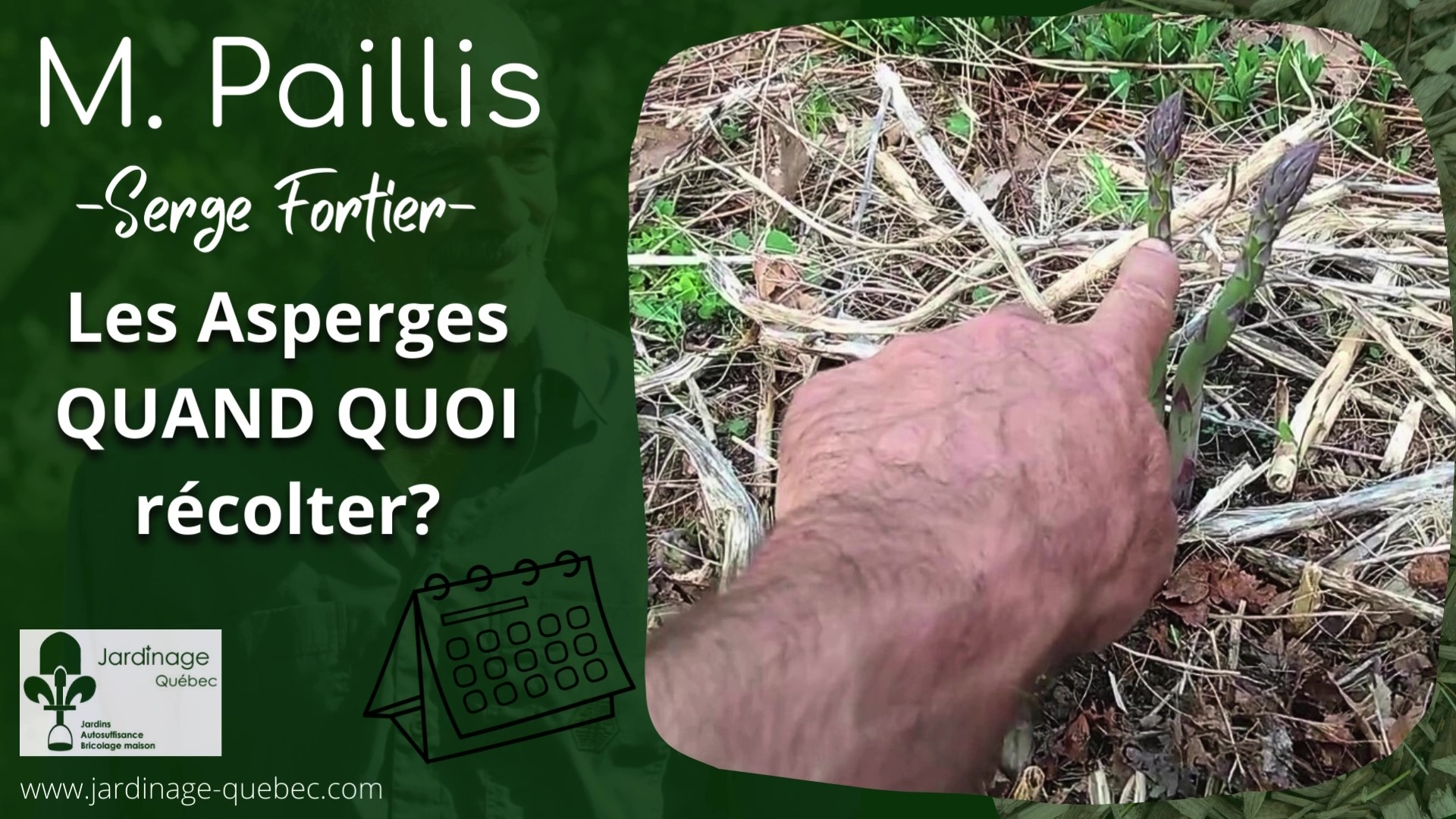 Récolter des asperges