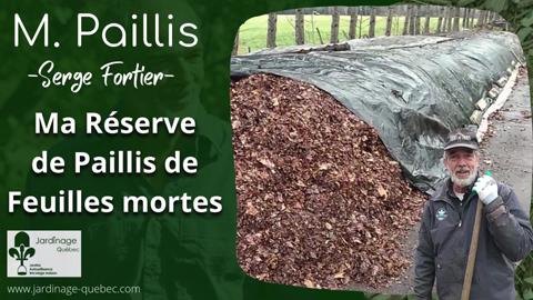 Paillis de feuilles mortes - Ma réserve