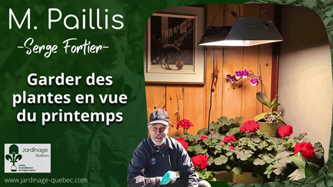 Cultiver des plantes en hiver pour se préparer au printemps