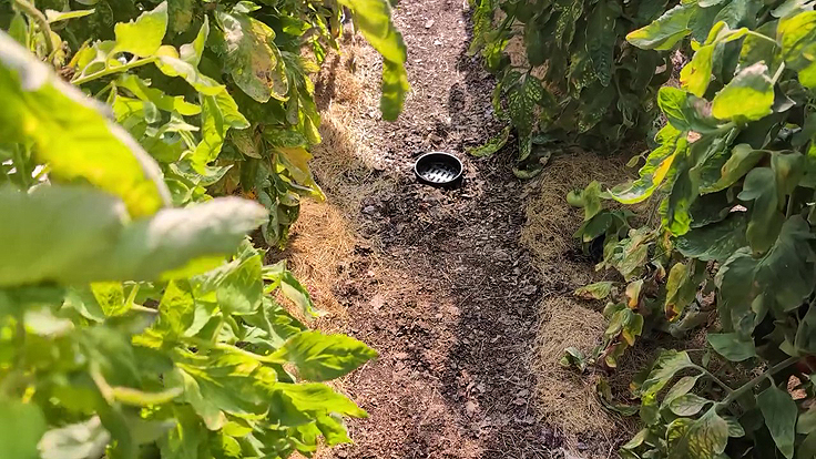 Dispositif d'arrosage Logissol-O