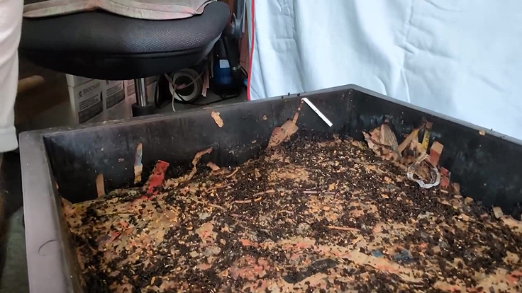 Plateau où les vers digèrent les résidus de cuisine