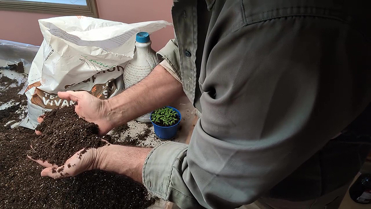 Terreau vivant Édaphon