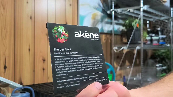 Akène